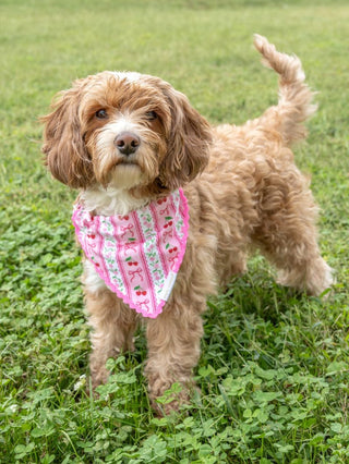 The Pawsome Bandana • Cherry Bows
