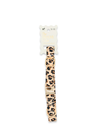 Small Pet Collar • Leopard