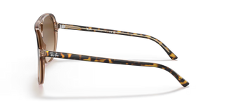 RAY-BAN | 0RB2198 Havana Transparent Brown