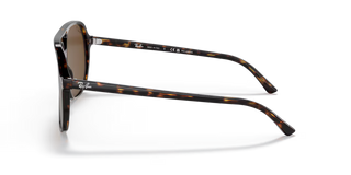 RAY-BAN | 0RB2198 Havana Polar Brown