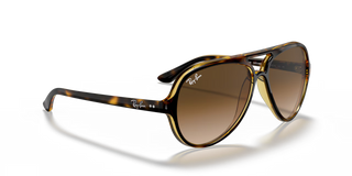 Cats 5000 • Light Havana Brown