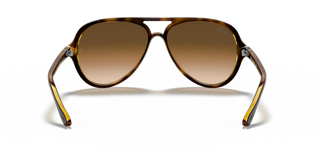 Cats 5000 • Light Havana Brown