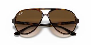 Cats 5000 • Light Havana Brown