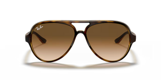 Cats 5000 • Light Havana Brown