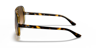 Cats 5000 • Light Havana Brown