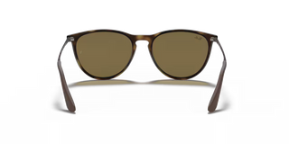 Kids Ray Ban • Junior Erika Dark Brown