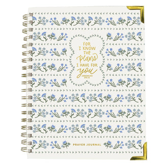Journal Prayer • For I Know the Plans