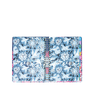 Jumbo 17 Month Agenda • In All Her Glory