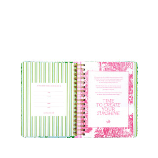 Large 17 Month Agenda • Mint Condition Burst of Joy