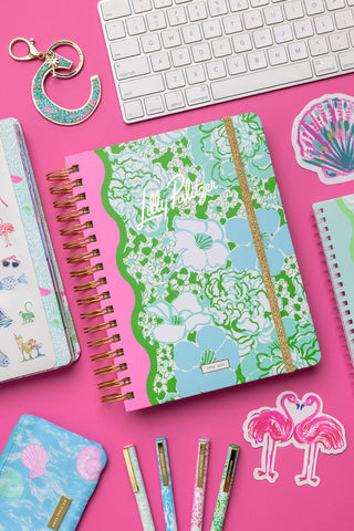 Large 17 Month Agenda • Mint Condition Burst of Joy