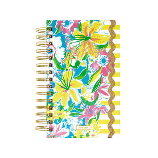 Medium 17 Month Agenda • Lovely Lilly