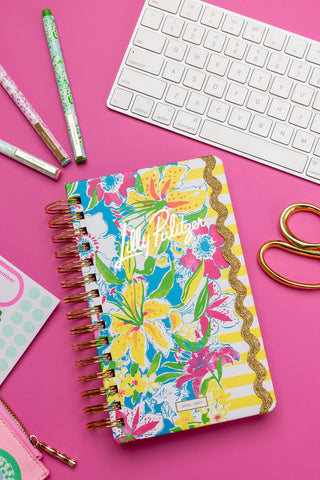 Medium 17 Month Agenda • Lovely Lilly