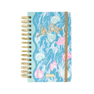 Medium 17 Month Agenda • Shelden