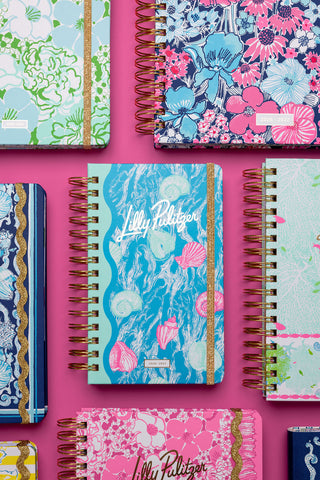 Medium 17 Month Agenda • Shelden