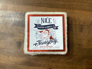 Shower Sponge • Nice With Hint Of Naughty