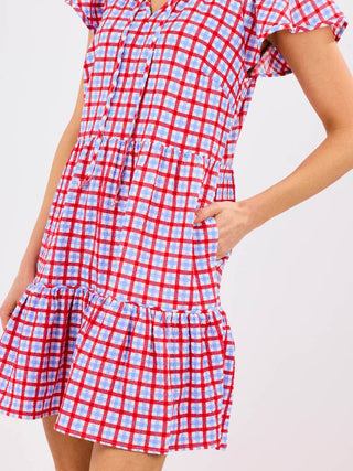 red white and blue gingham dress red and white gingham dress x BELLA HADID Farm Gingham Mini Dress