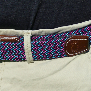 The Vice Belt