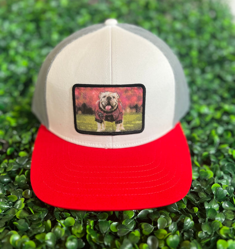 Georgia Mascot Watercolor Patch Hat • White + Red