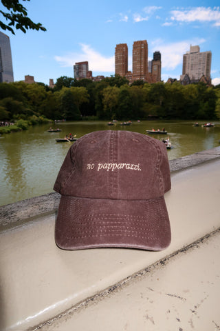 No Papparazzi Dad Cap • Brown