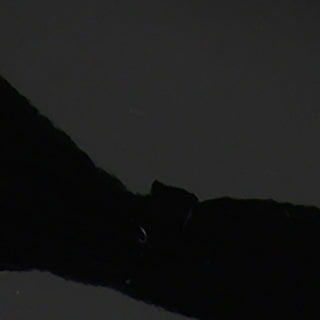 Maru Dress Sandal • Black