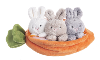 Carrot Learn & Grow Plushie Set