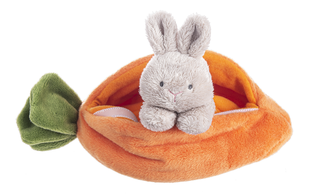 Carrot Learn & Grow Plushie Set