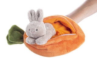 Carrot Learn & Grow Plushie Set
