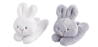 Carrot Learn & Grow Plushie Set