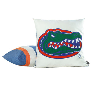 Florida Gators Hammock Chair Swing - Graduation Alumni Gift