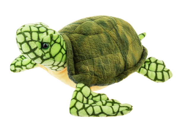 Seaside Sea Turtle • Green