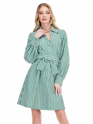 Waist Pleated Collared Shirt Dress • Green Stripes