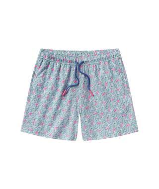 Youth Lets Flamingle Swim Shorts