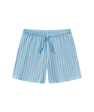 Boys Clubhouse Seersucker Swim Shorts • Coastal Breeze
