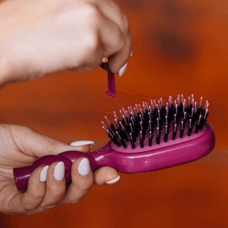 Mini Boar Bristle Hair Brush • Mulberry