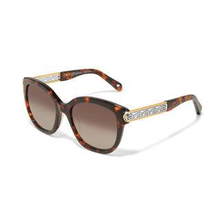 Intrigue Tortoise Sunglasses • Amber