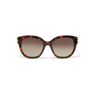 Intrigue Tortoise Sunglasses • Amber
