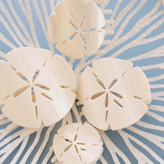 Sand Dollar Flat Hair Clip • Tiny