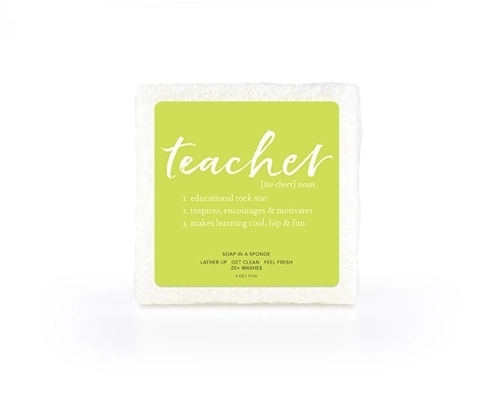 Teacher Shower Sponge