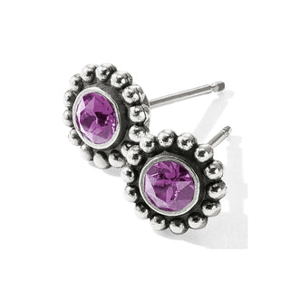 Twinkle Mini Post Earrings • Amethyst