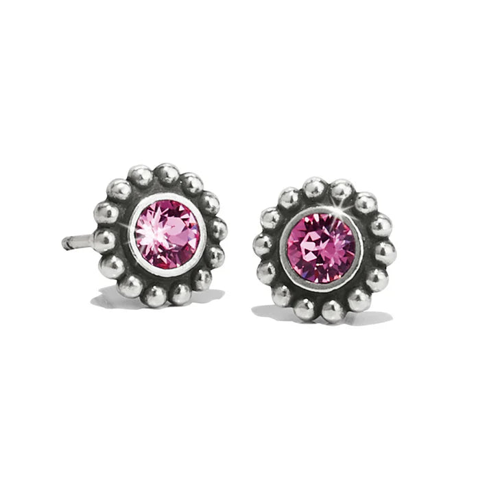 Twinkle Mini Post Earrings • Rose