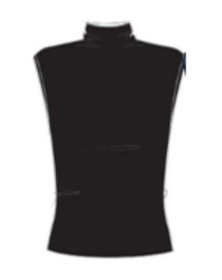 So Soft Silk Sleeveless Cowl Neck Top