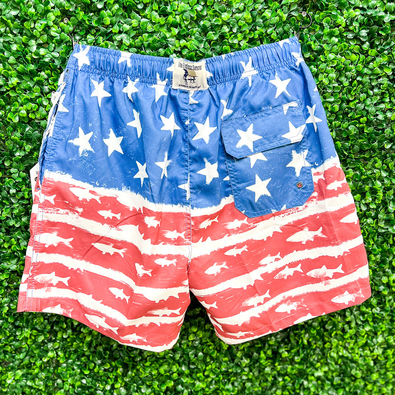 Swim Shorts • Painted Look Flag