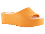Sunny Slide • Papaya